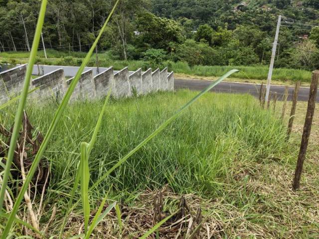 Área para Venda em Paraty - 4