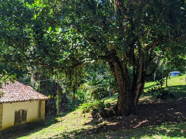 Chácara para Venda em Paraty - 5